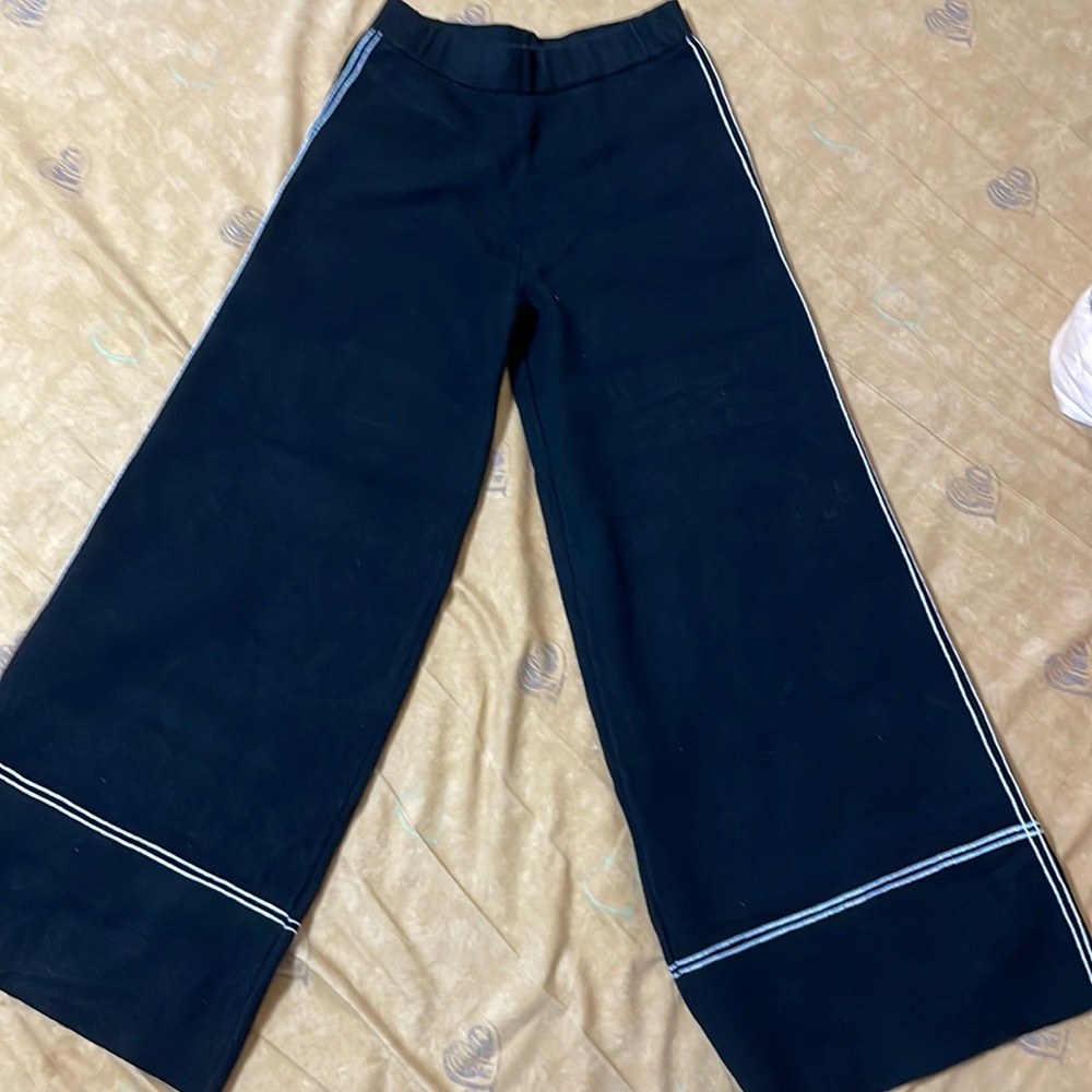 Zara wide leg pant.